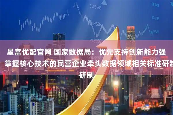 星富优配官网 国家数据局：优先支持创新能力强、掌握核心技术的民营企业牵头数据领域相关标准研制