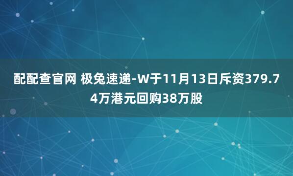 配配查官网 极兔速递-W于11月13日斥资379.74万港元回购38万股