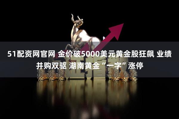51配资网官网 金价破5000美元黄金股狂飙 业绩并购双驱 湖南黄金“一字”涨停