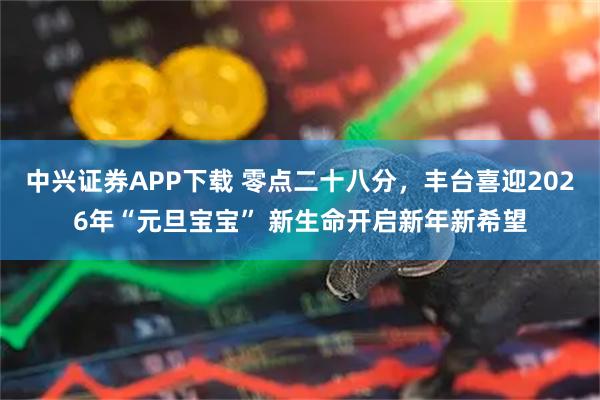 中兴证券APP下载 零点二十八分，丰台喜迎2026年“元旦宝宝” 新生命开启新年新希望