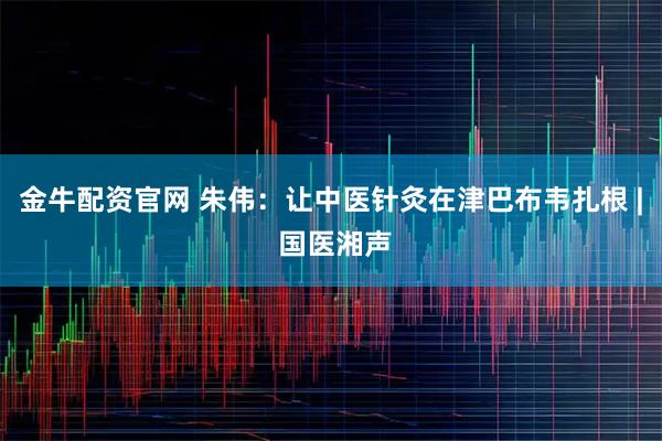 金牛配资官网 朱伟：让中医针灸在津巴布韦扎根 | 国医湘声