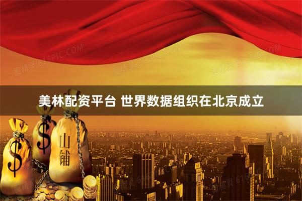 美林配资平台 世界数据组织在北京成立